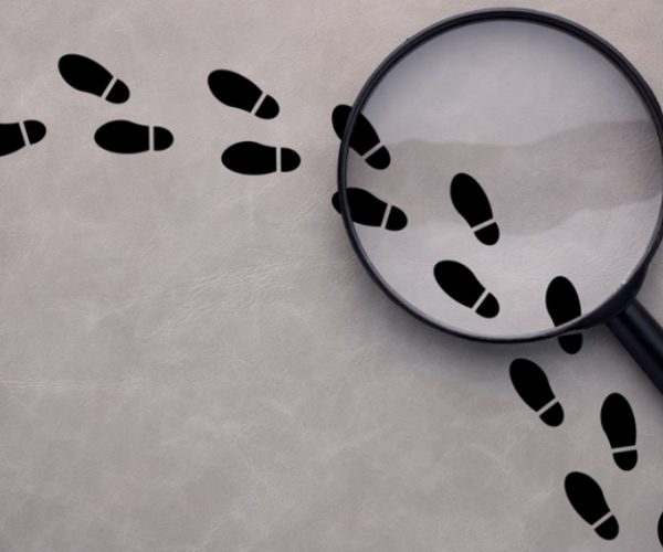 Understanding Investigative Journalism